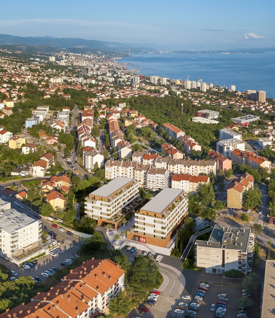 SRDOČI