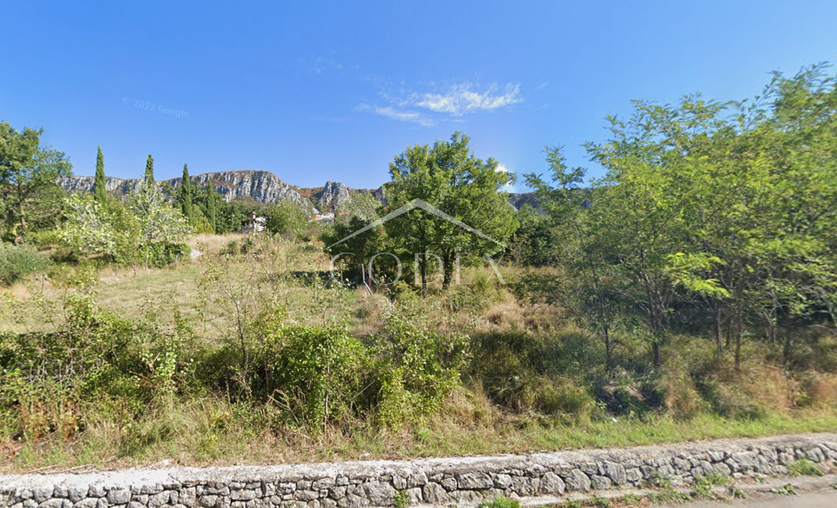 BRIBIR