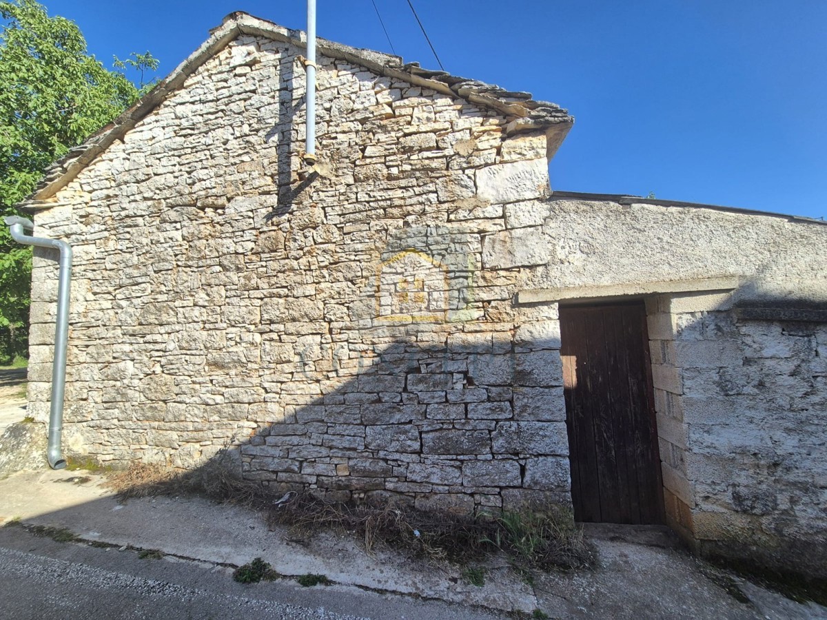 image 13