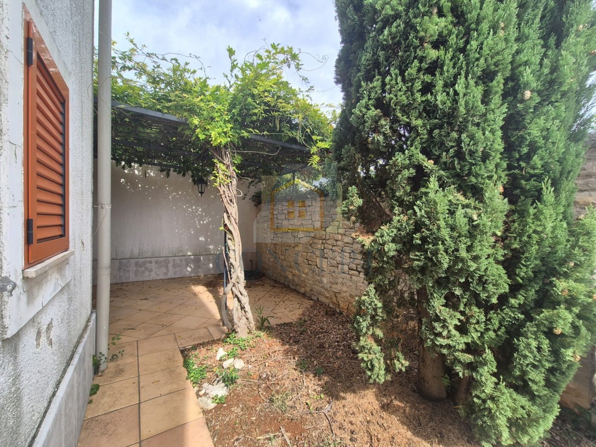 image 24