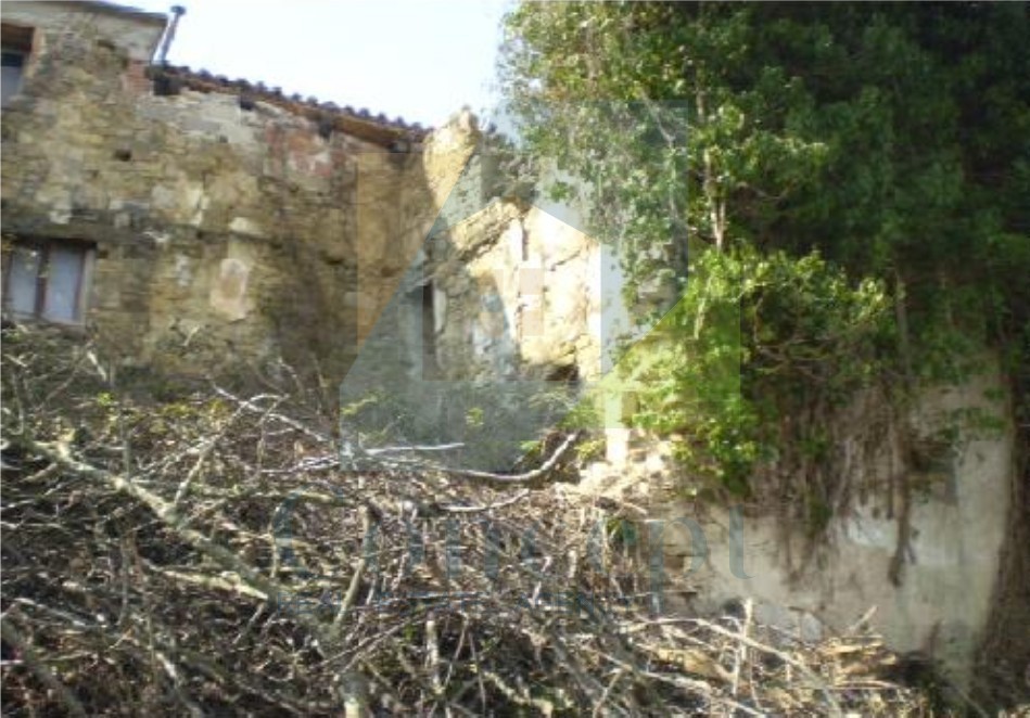 MOTOVUN