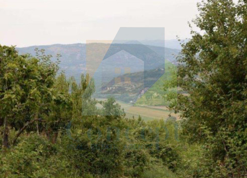 MOTOVUN