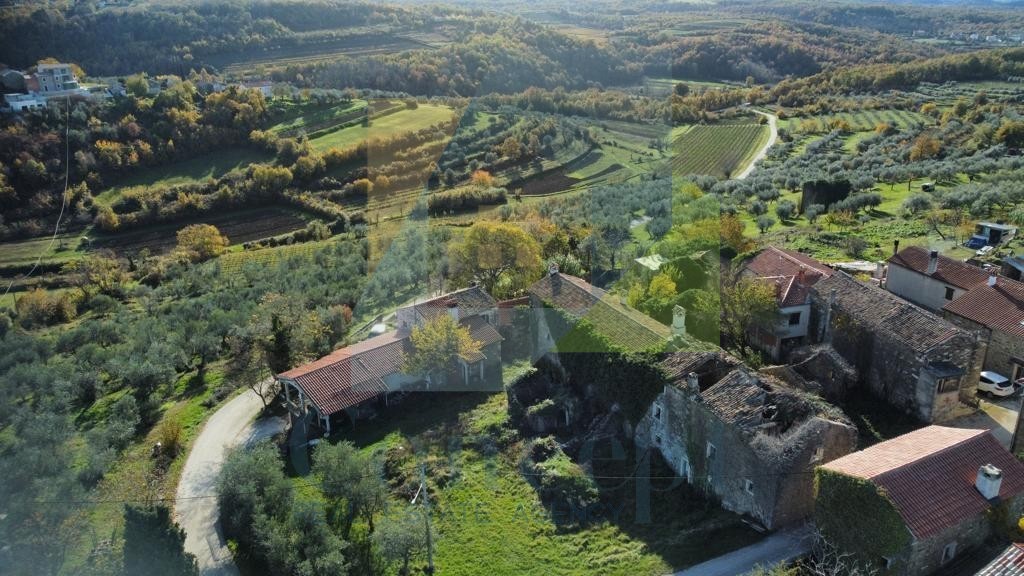 BUJE