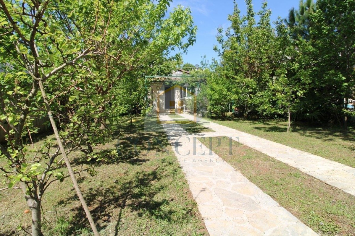 image 28