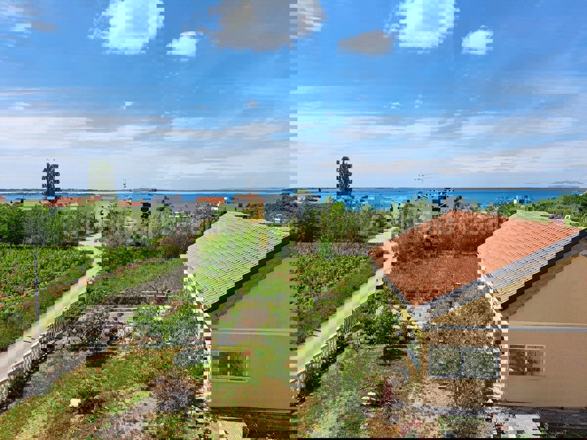 VRSI