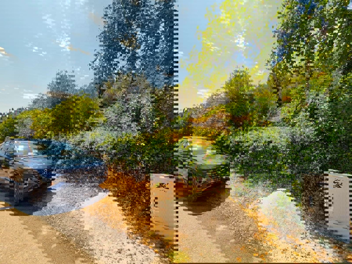 UGLJAN