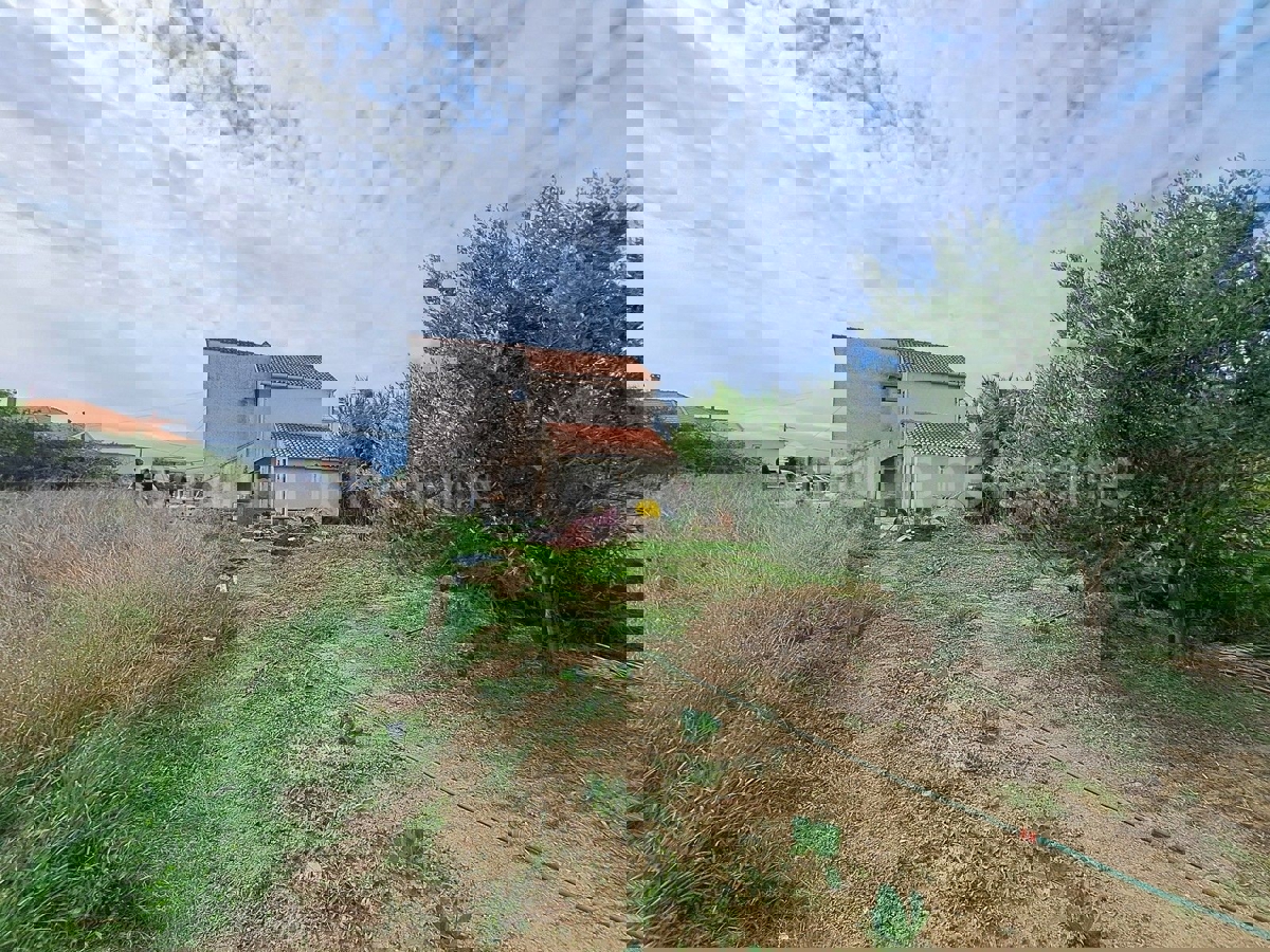VRSI