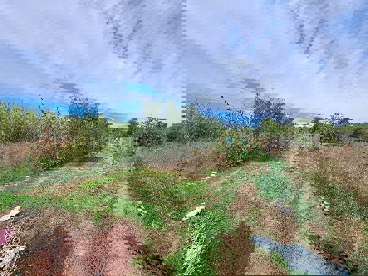 VRSI