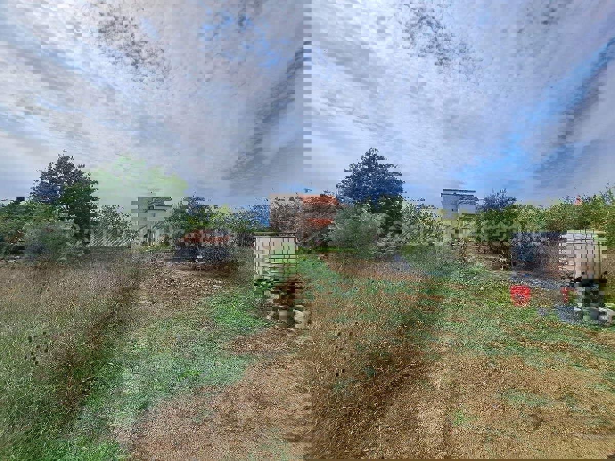 VRSI