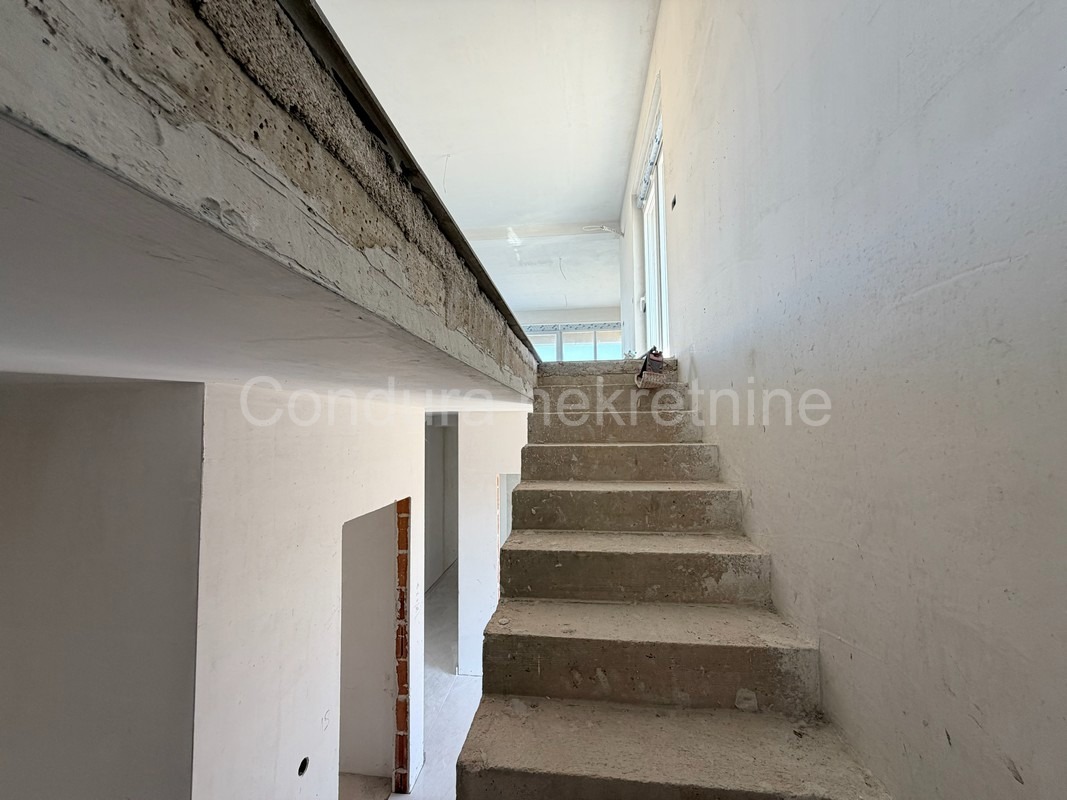 image 23