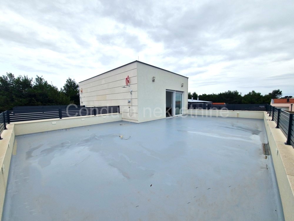 image 29