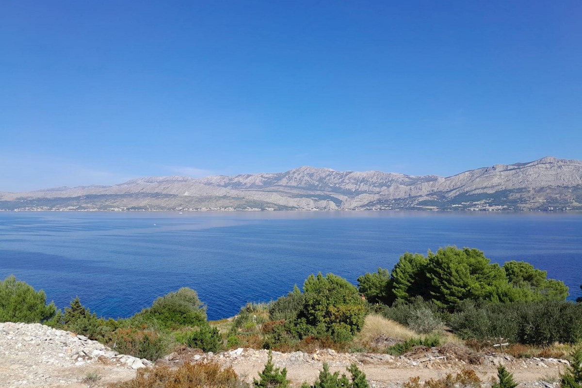 BRAČ
