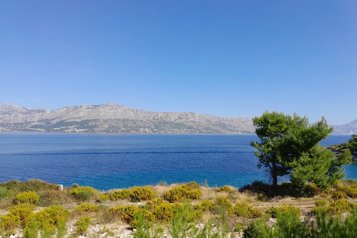 BRAČ