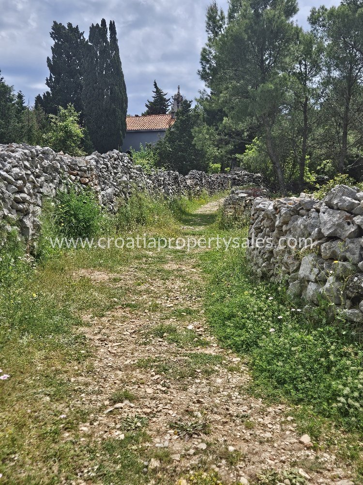 HVAR