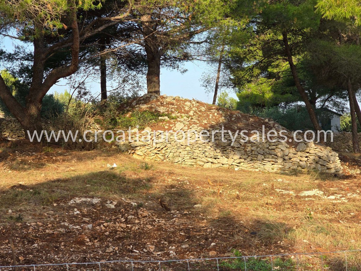 BRAČ