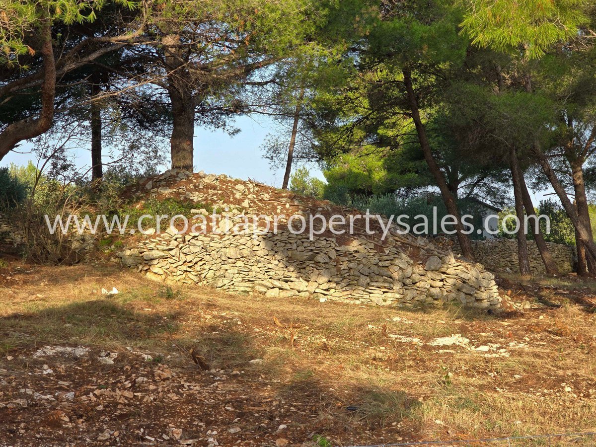 BRAČ