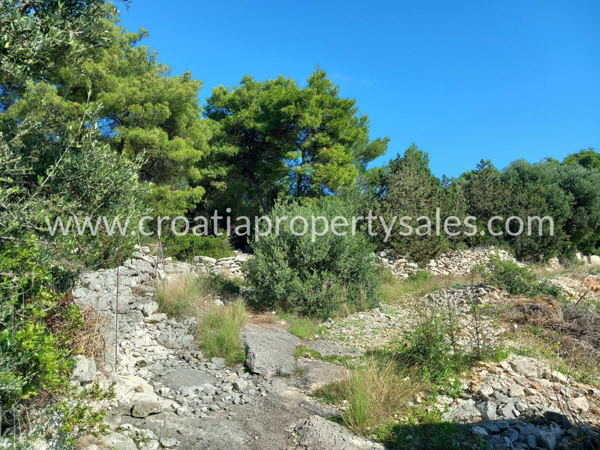 BRAČ
