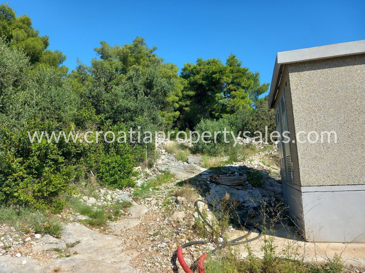 BRAČ