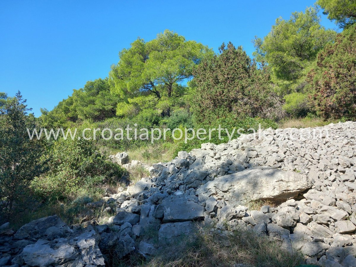 BRAČ