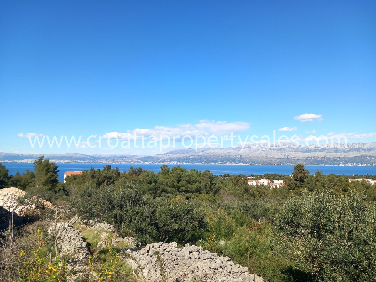 BRAČ
