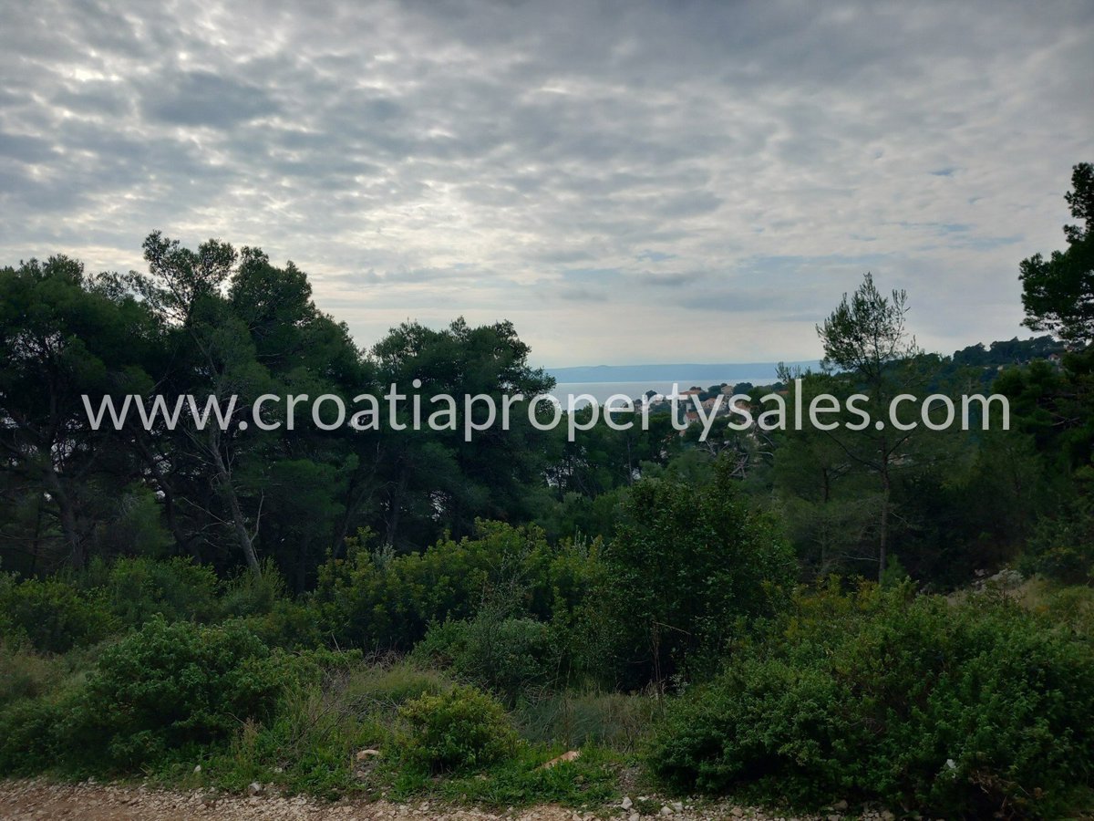 BRAČ