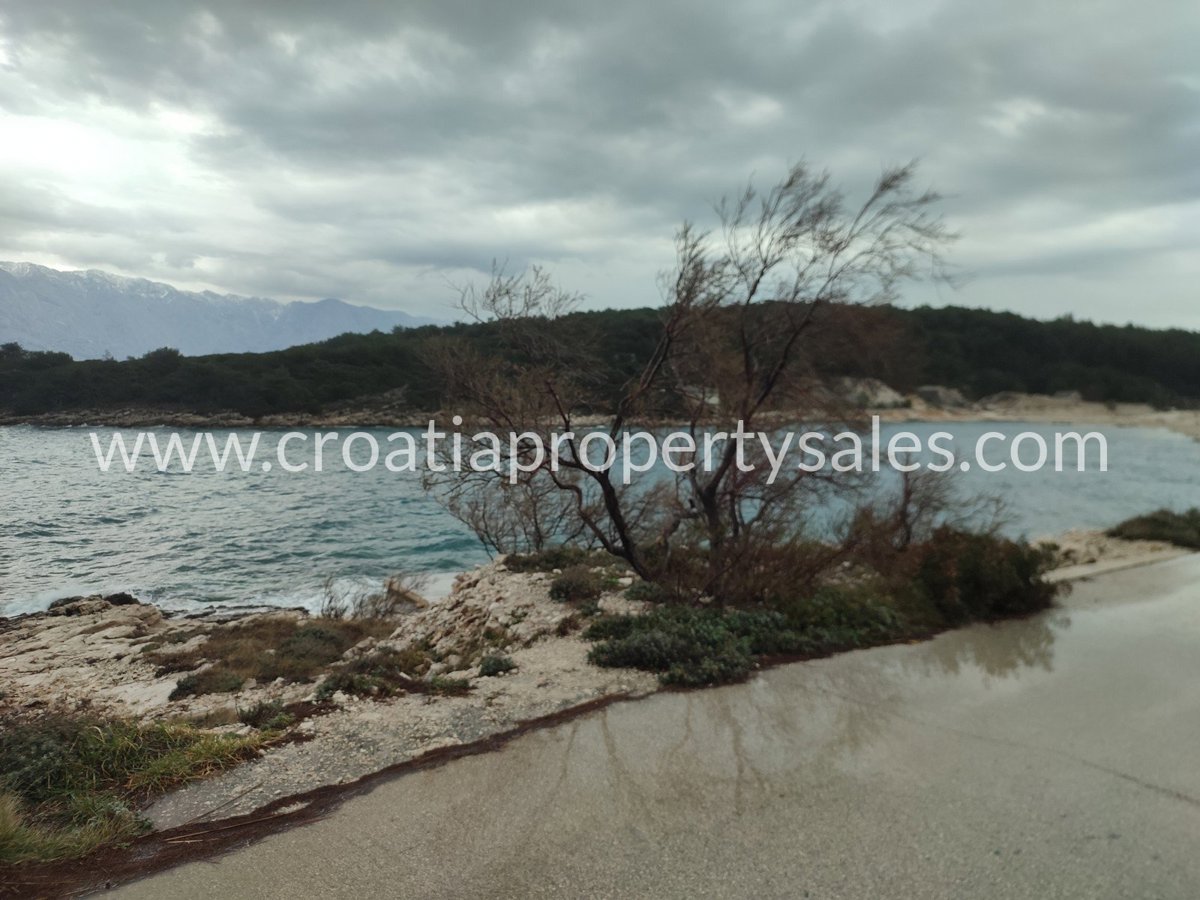 BRAČ