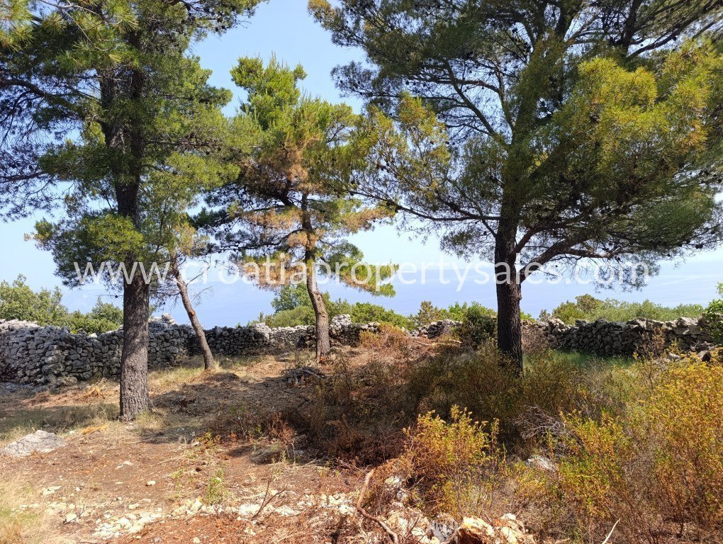 HVAR