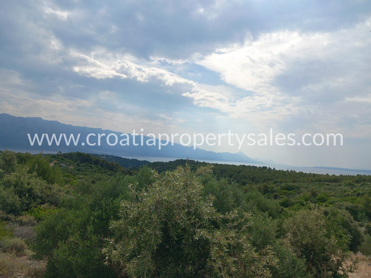 BRAČ