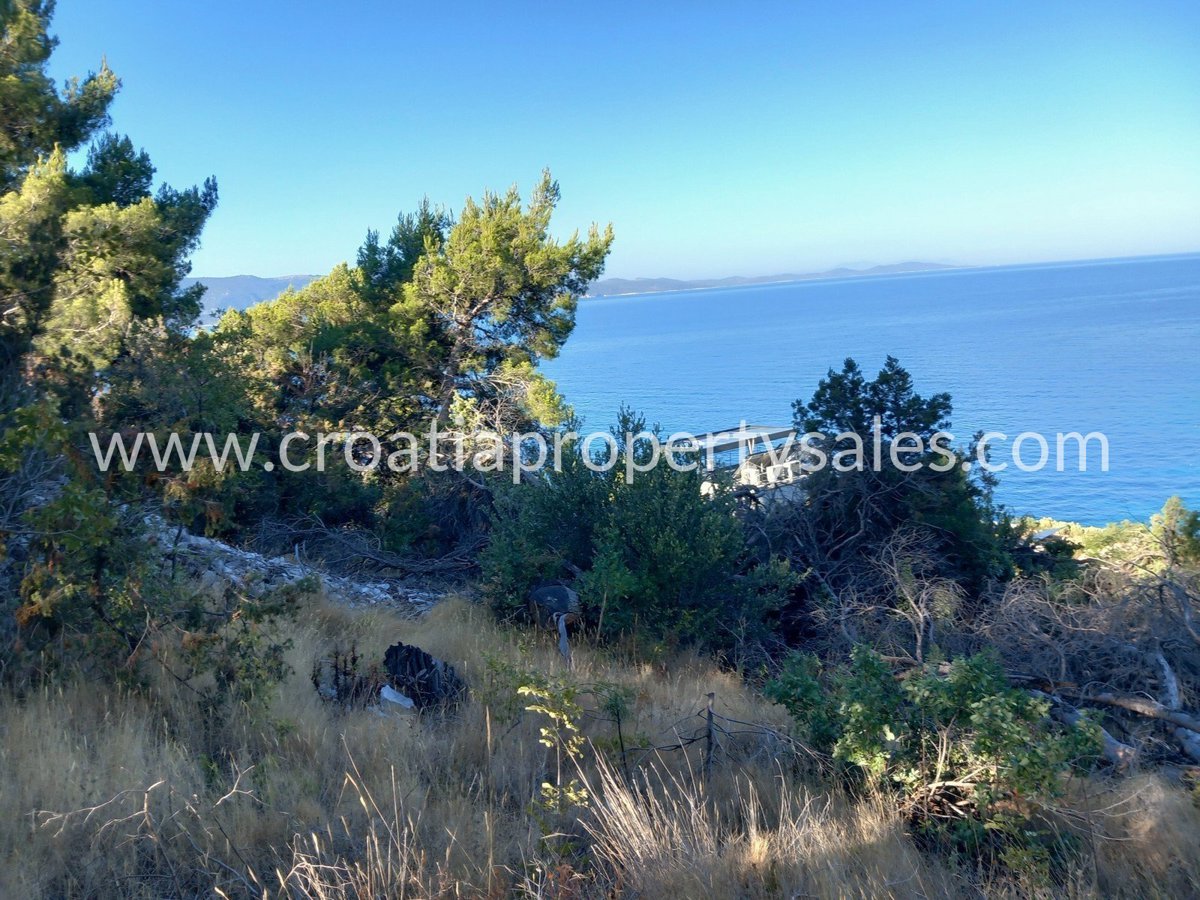 BRAČ