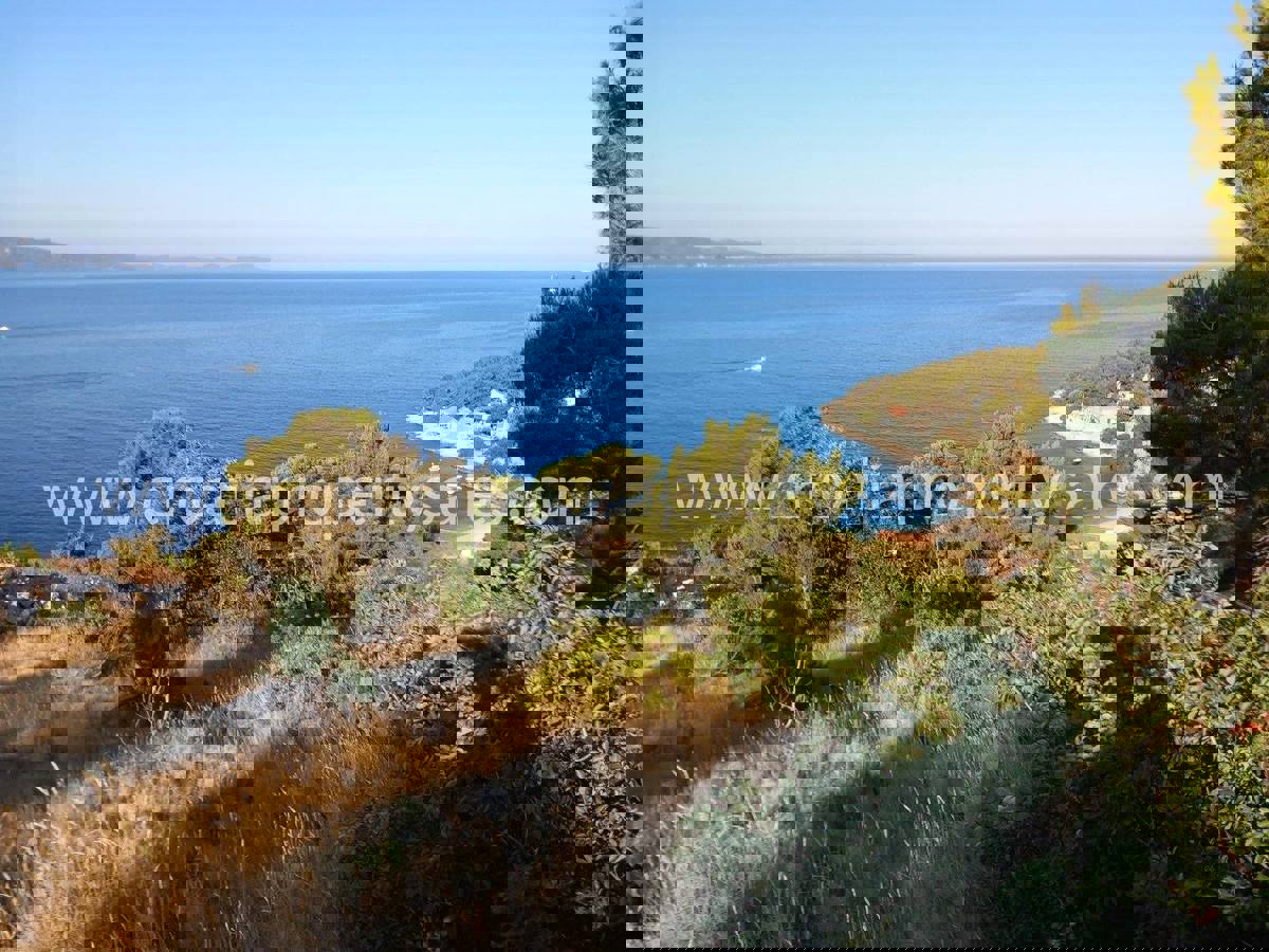 BRAČ