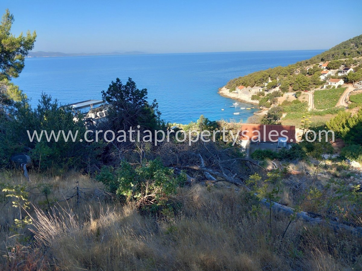 BRAČ