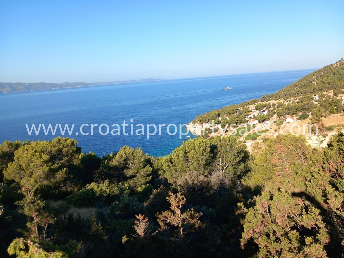 BRAČ