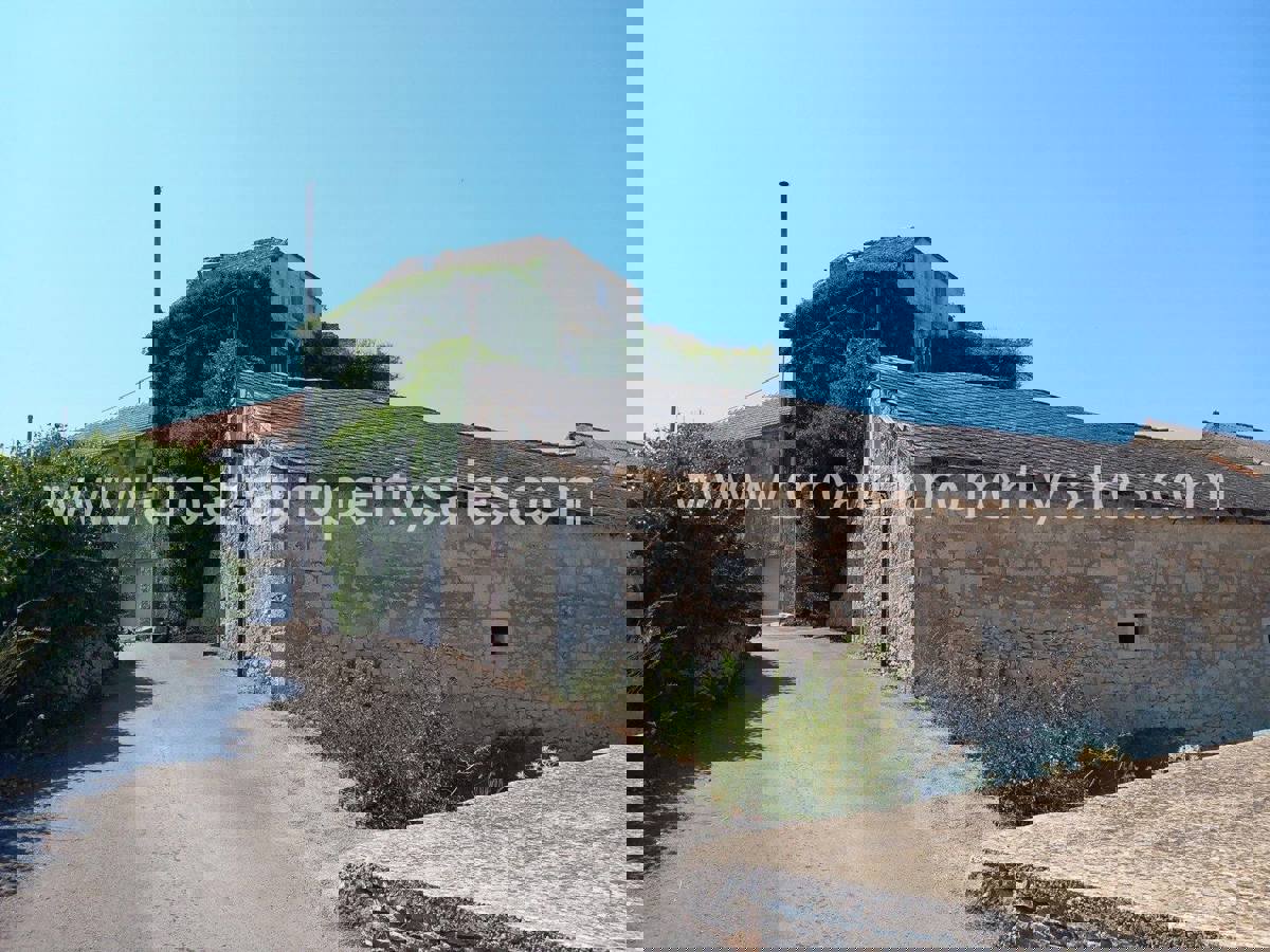 BRAČ