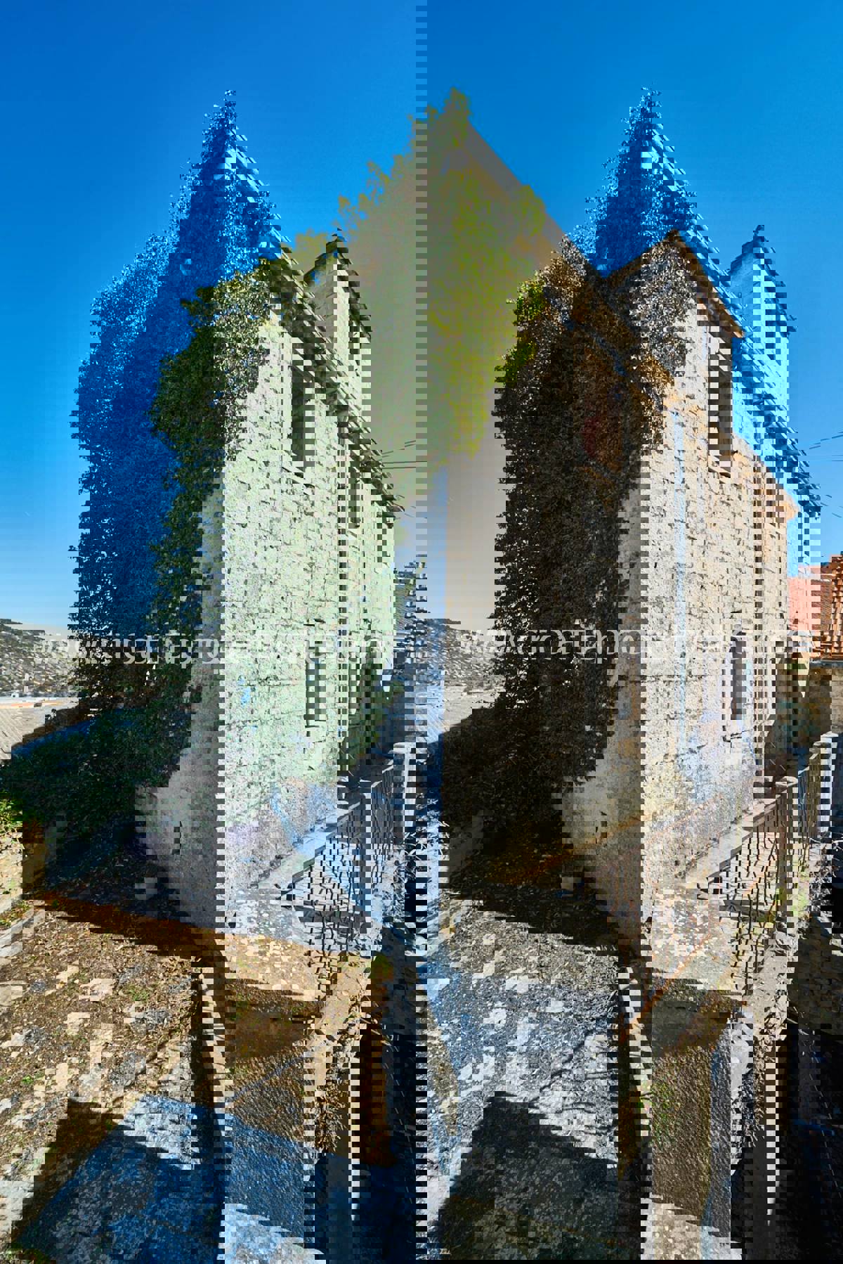 BRAČ