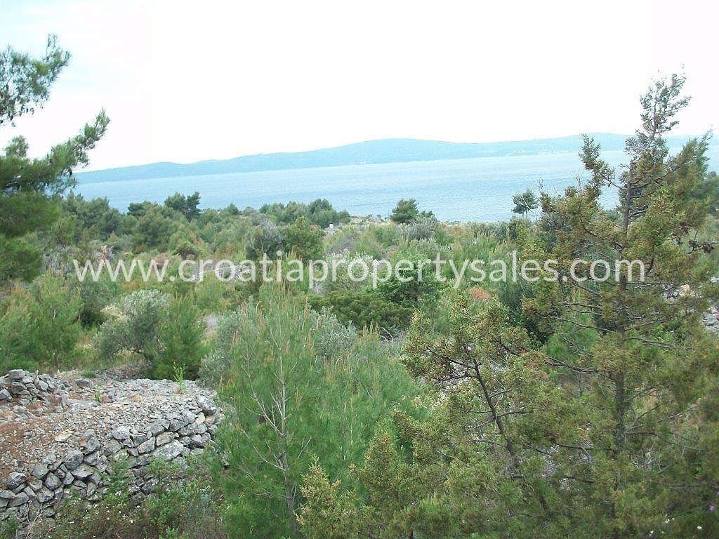 BRAČ