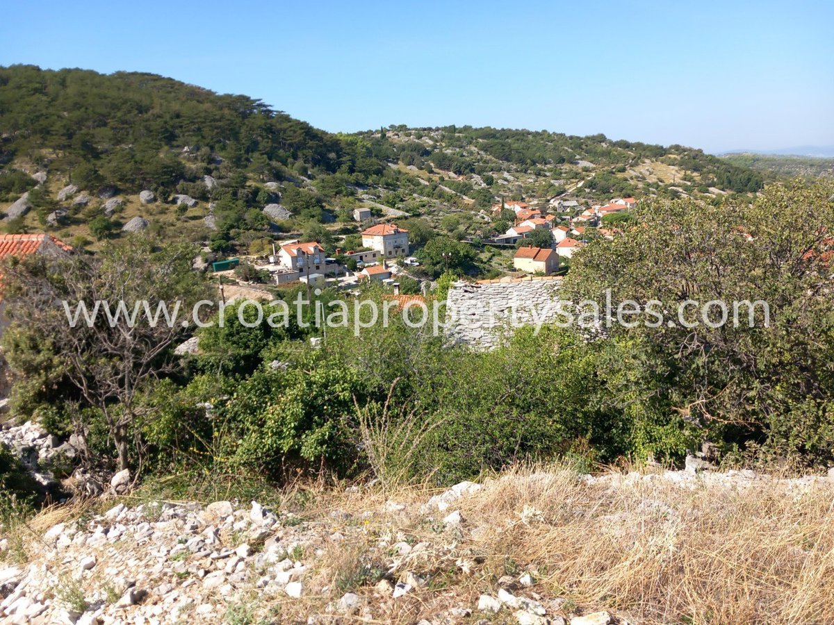 BRAČ