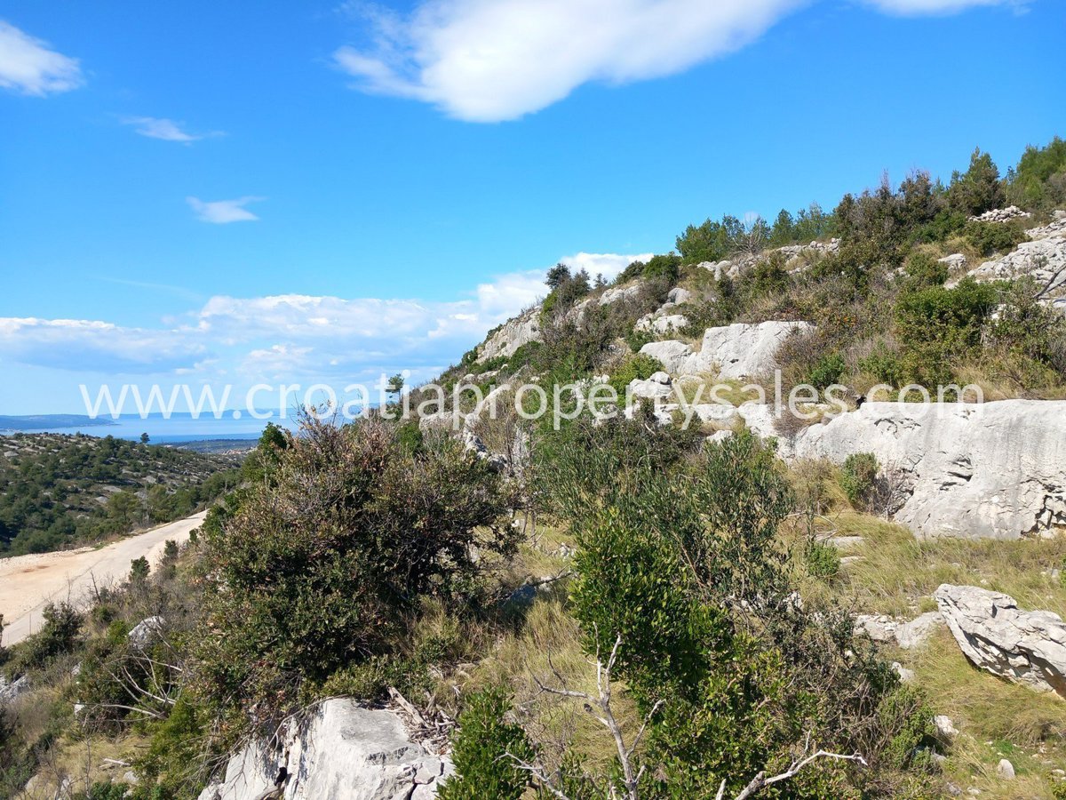 BRAČ