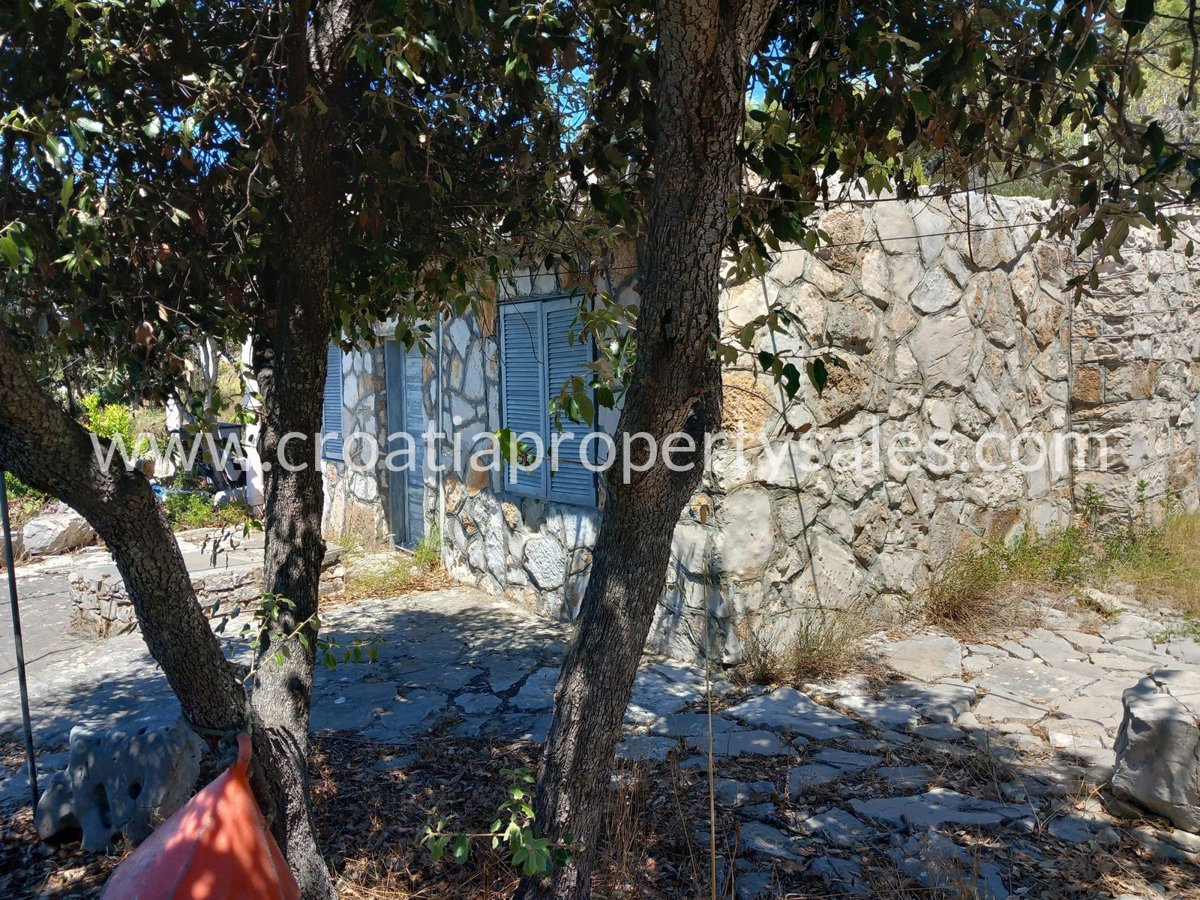 BRAČ
