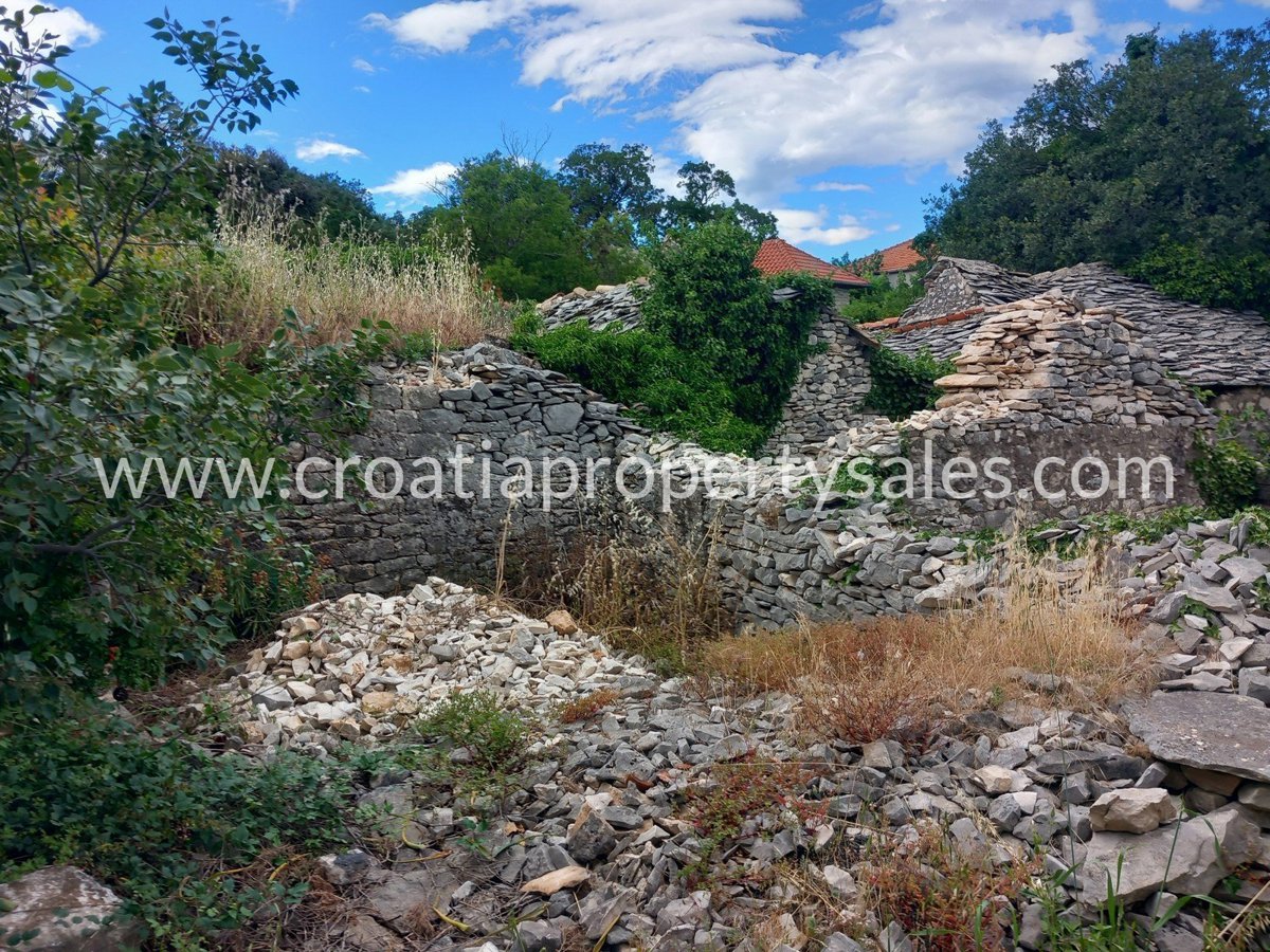 BRAČ