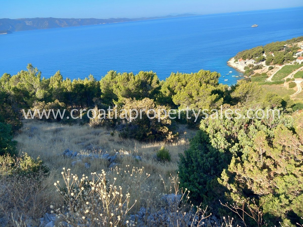 BRAČ