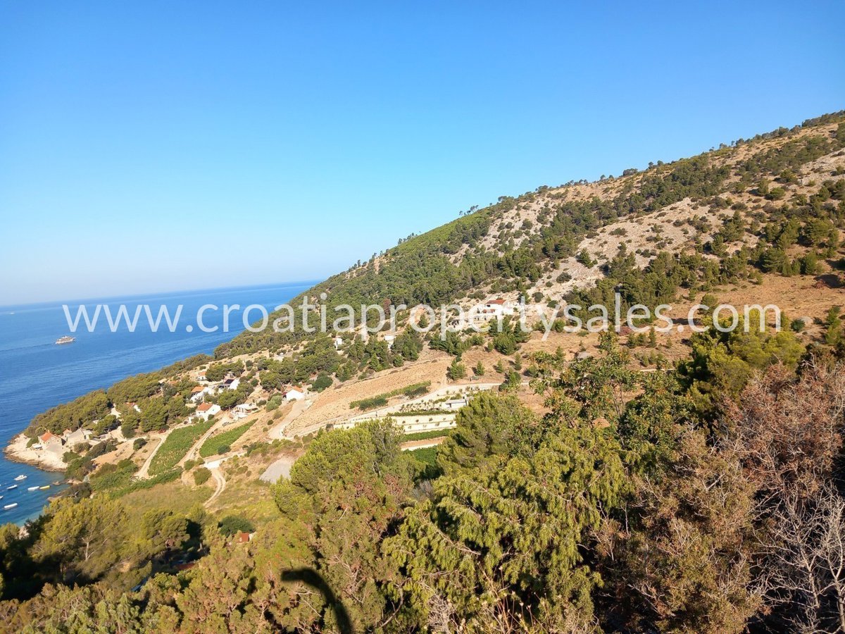 BRAČ