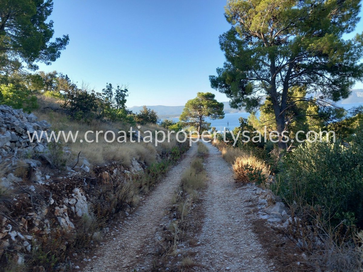 BRAČ