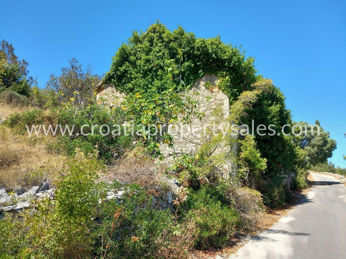 BRAČ