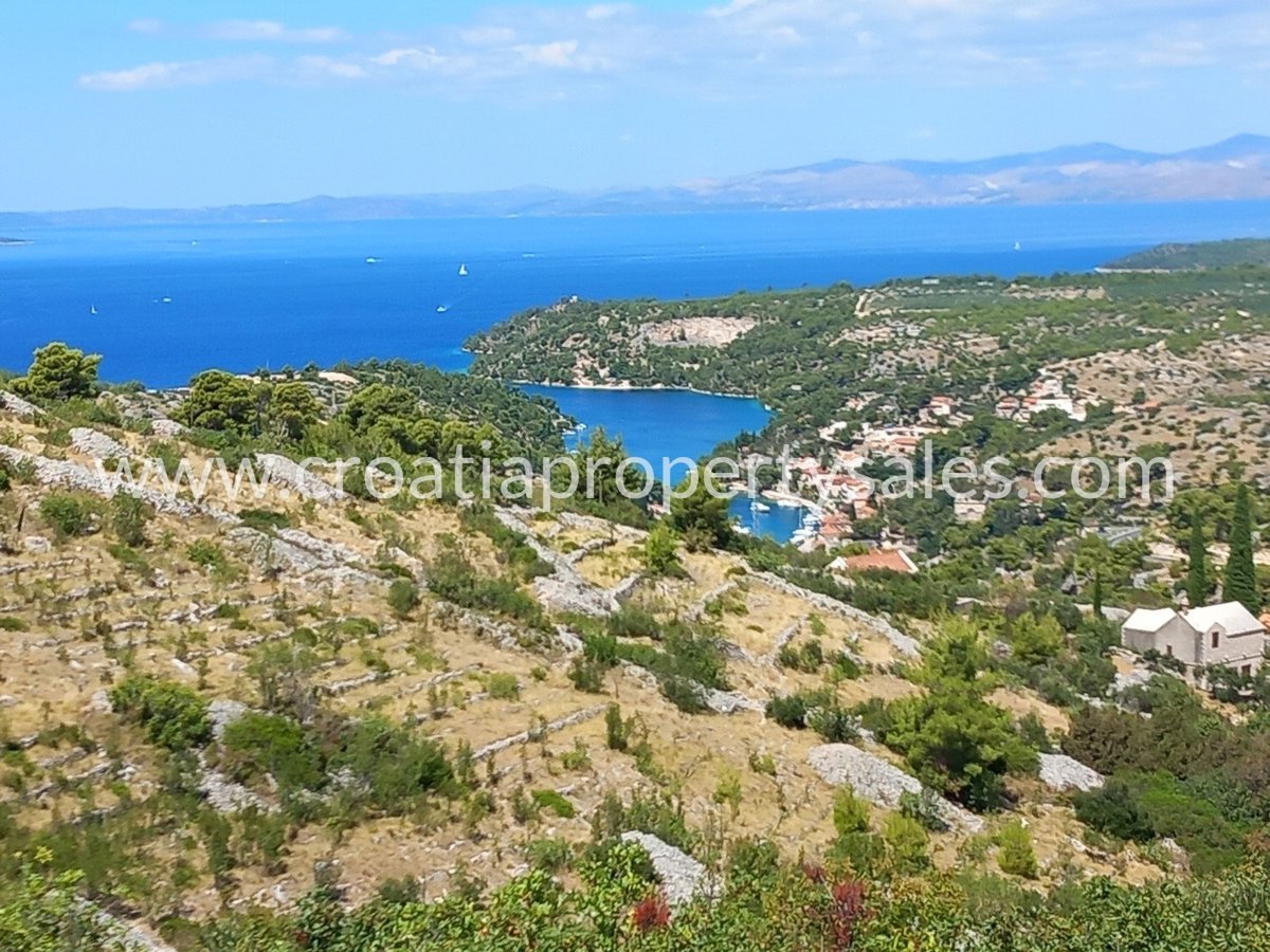 BRAČ