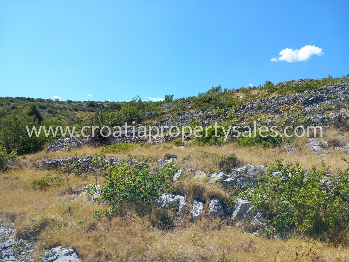BRAČ