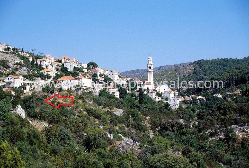 BRAČ