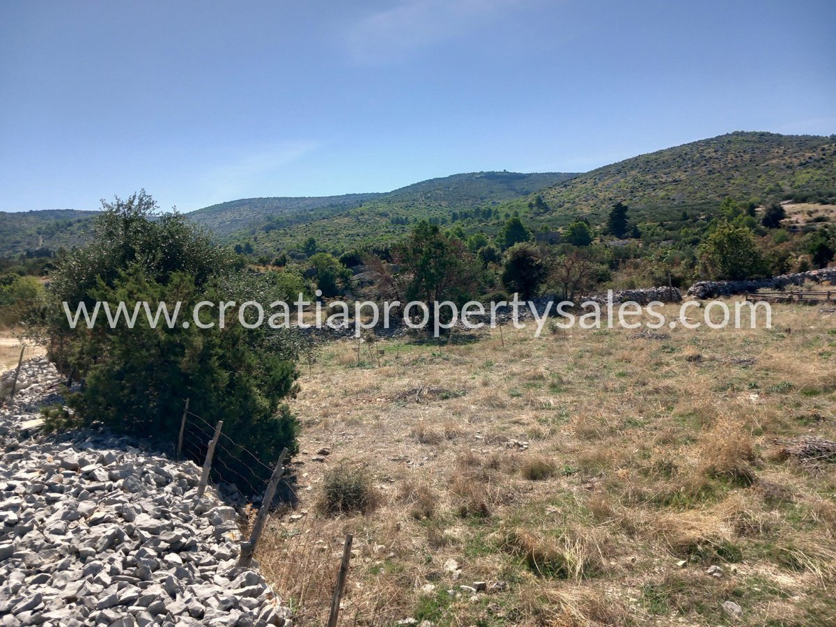 BRAČ