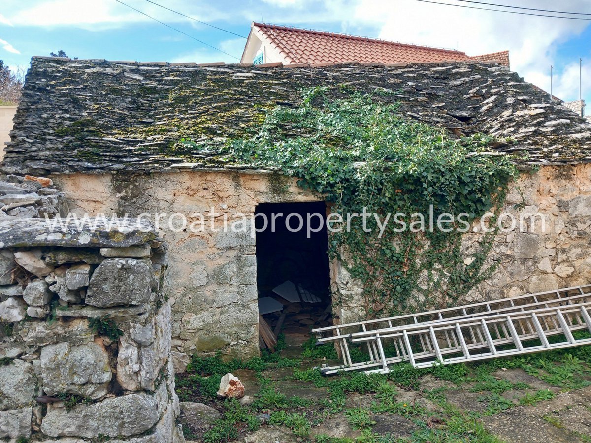 BRAČ