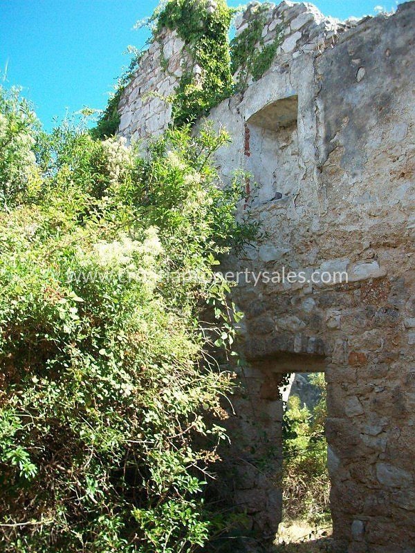 BRAČ