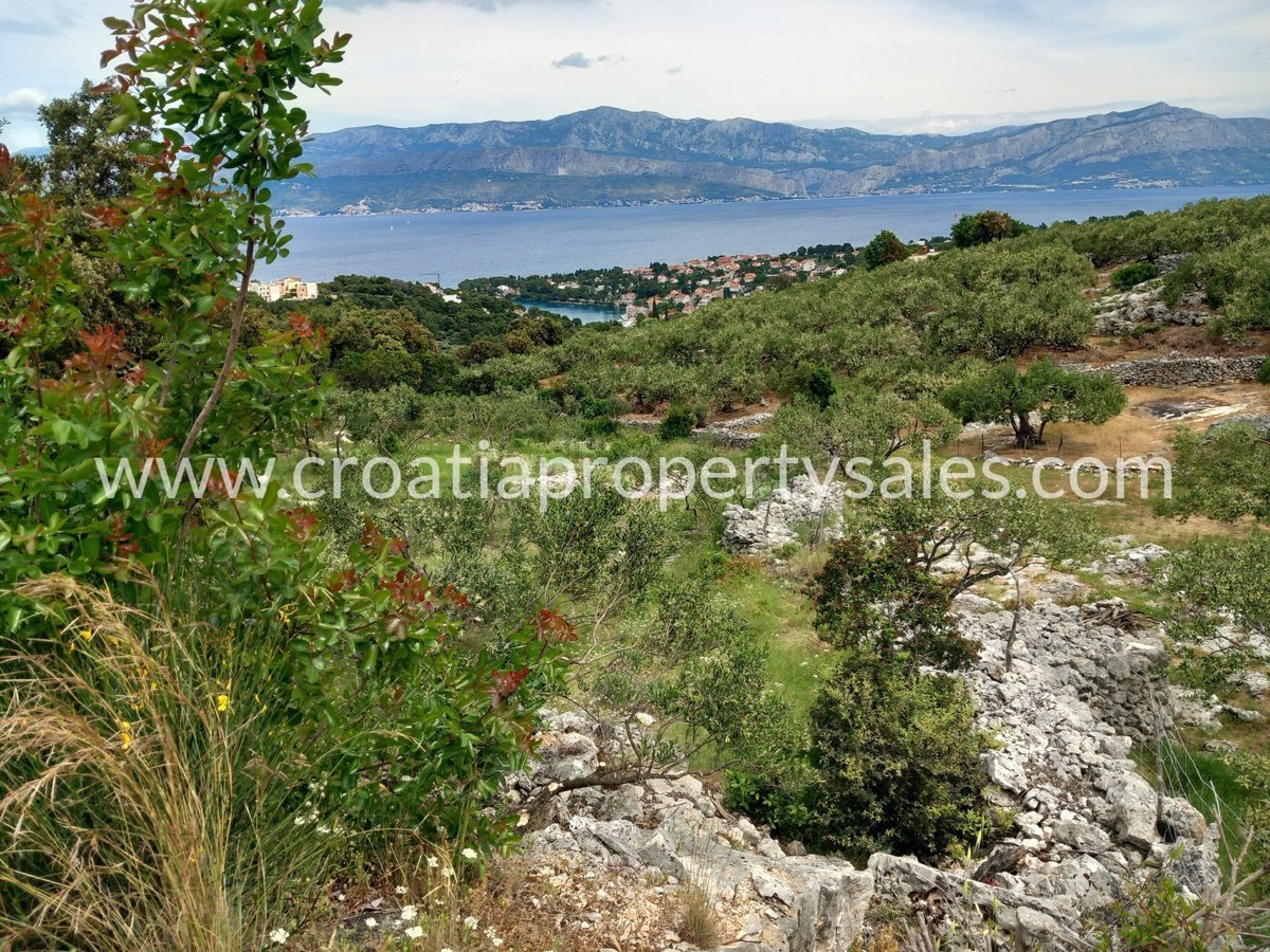 BRAČ